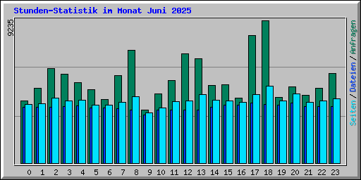 Stunden-Statistik im Monat Juni 2025