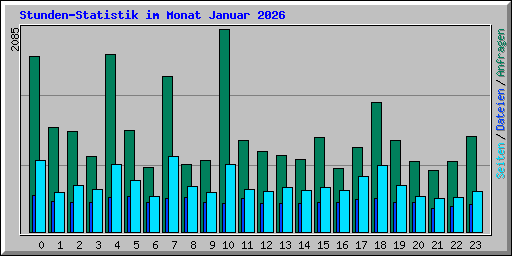 Stunden-Statistik im Monat Januar 2026